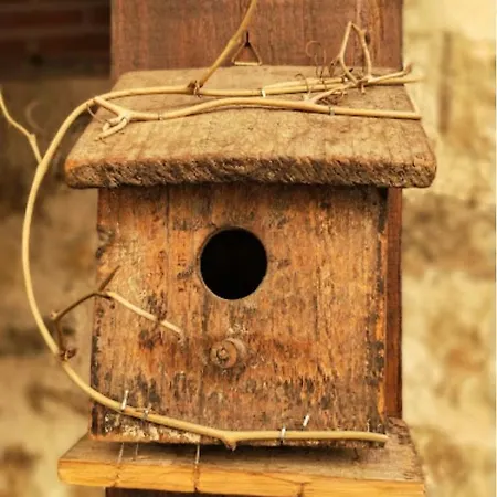 Real Mingaseda Navafría