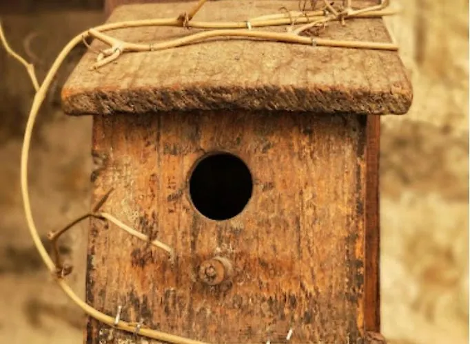 Real Mingaseda Navafría